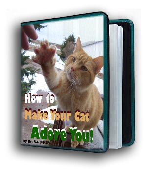 cat ebook